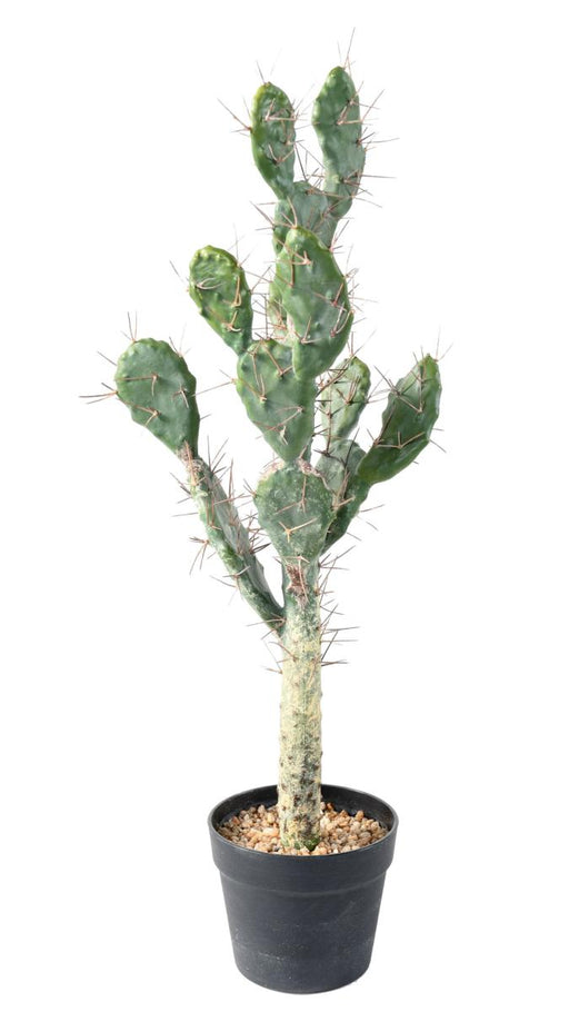 Cactus Artificiale Piatto 75 Cm Per Interni Verdi