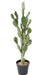 Cactus Artificiale Piatto Da Interno 104Cm Verde