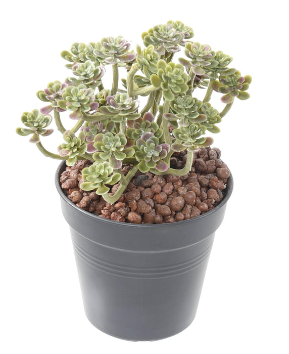 Cactus Succulente Artificiale Su Palo 13 Cm