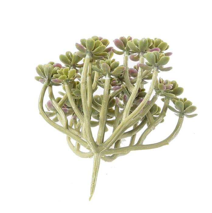 Cactus Succulente Artificiale Su Palo 13 Cm