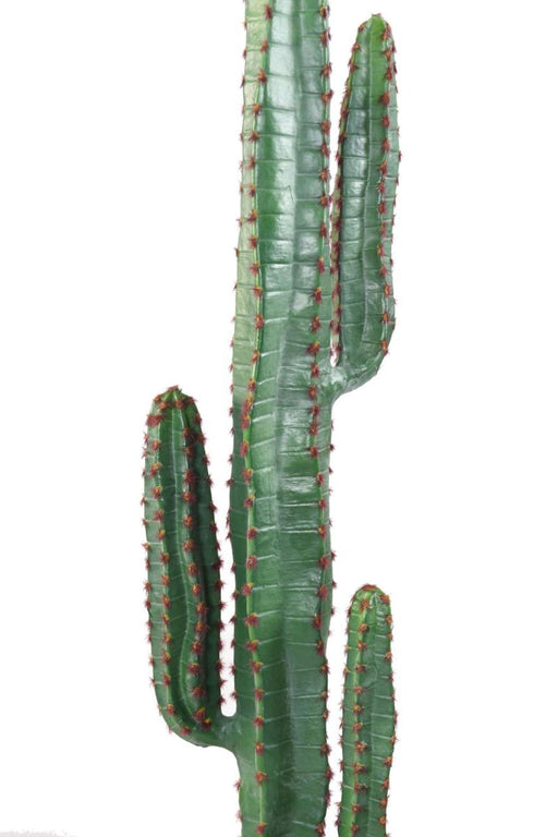 Cactus Artificiale Verde 150Cm Per Interni