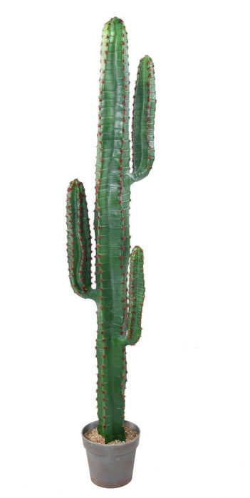 Cactus Artificiale Verde 150Cm Per Interni