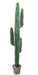 Cactus Artificiale Verde 150Cm Per Interni
