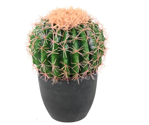 Cactus Artificiale Verde 27 Cm Per Decorazione Interni