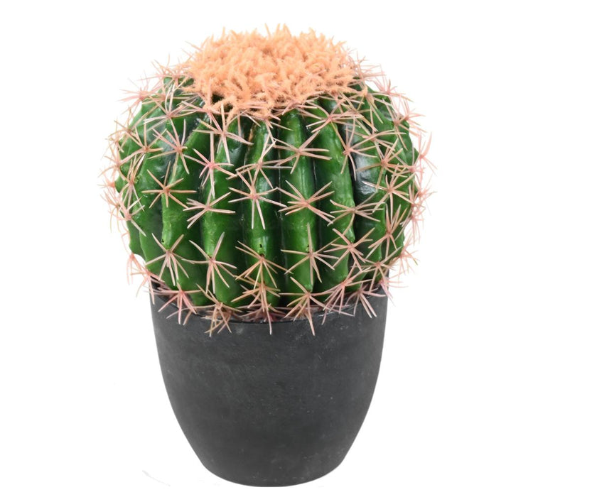 Cactus Artificiale Verde 27 Cm Per Decorazione Interni