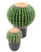 Cactus Artificiale Verde 50Cm Per Decorazione Interni