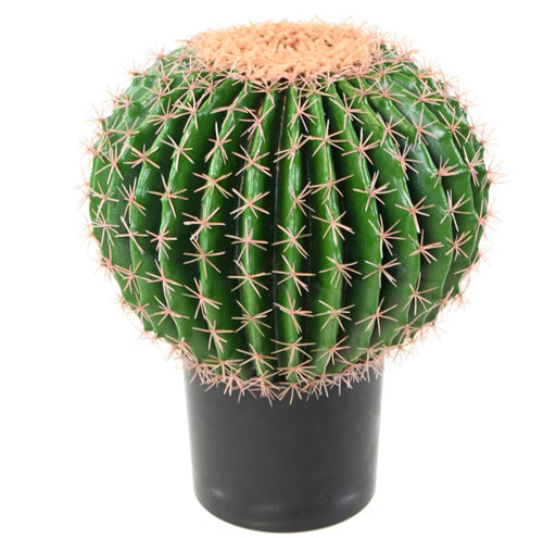 Cactus Artificiale Verde 50Cm Per Decorazione Interni