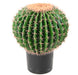 Cactus Artificiale Verde 50Cm Per Decorazione Interni