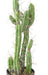 Cactus Artificiale Verde 60Cm Per Interni