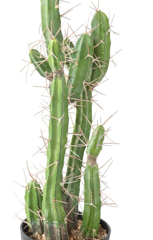 Cactus Artificiale Verde 60Cm Per Interni