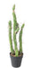 Cactus Artificiale Verde 60Cm Per Interni
