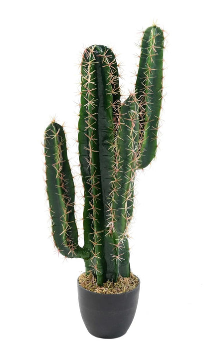 Cactus Artificiale Verde 70 Cm Per Interni
