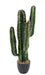 Cactus Artificiale Verde 70 Cm Per Interni
