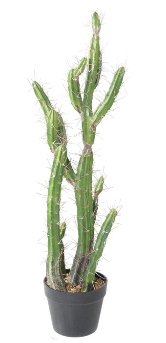Cactus Artificiale Verde 85 Cm Per Interni