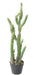 Cactus Artificiale Verde 85 Cm Per Interni
