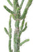 Cactus Artificiale Verde 85 Cm Per Interni