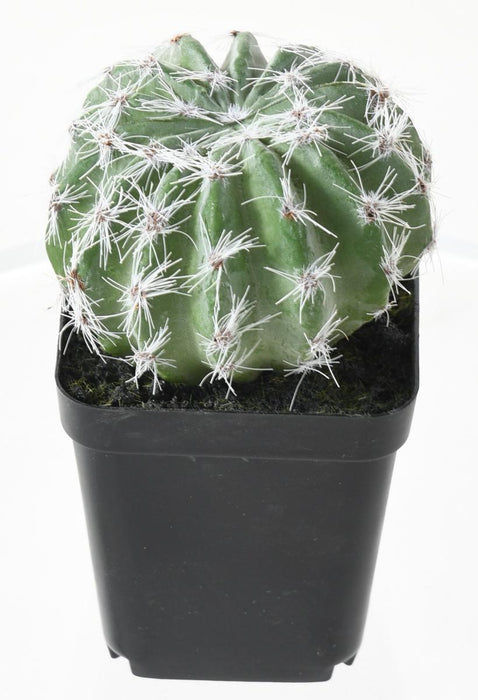 Cactus Artificiali In Vaso - Set Di 4 Piante