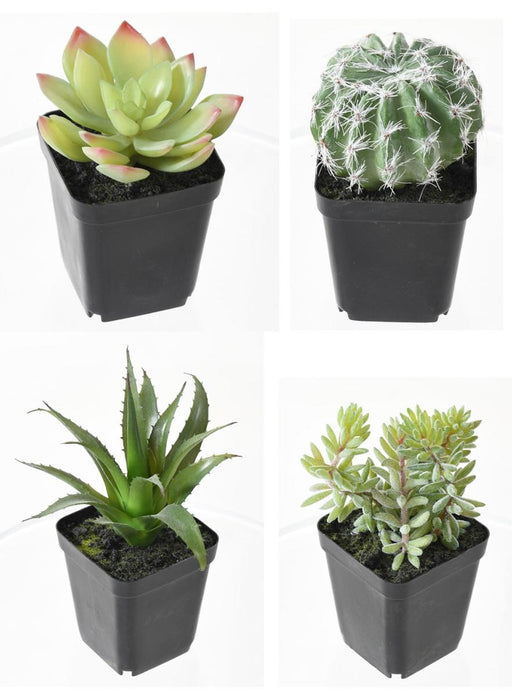 Cactus Artificiali In Vaso - Set Di 4 Piante