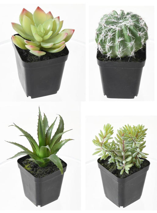 Cactus Artificiali In Vaso - Set Di 4 Piante