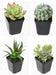 Cactus Artificiali In Vaso - Set Di 4 Piante
