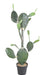 Cactus Opuntia Artificiale Per Interni 120Cm Verde