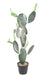 Cactus Opuntia Artificiale Per Interni 120Cm Verde