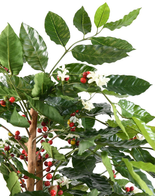 Fiori Artificiali Di Pianta Del Caffè Tronco Nodoso 150 Cm