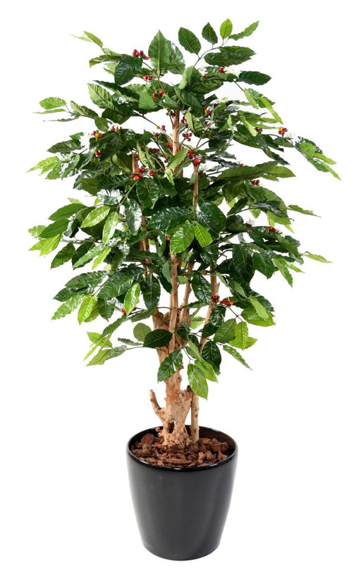 Fiori Artificiali Di Pianta Del Caffè Tronco Nodoso 150 Cm