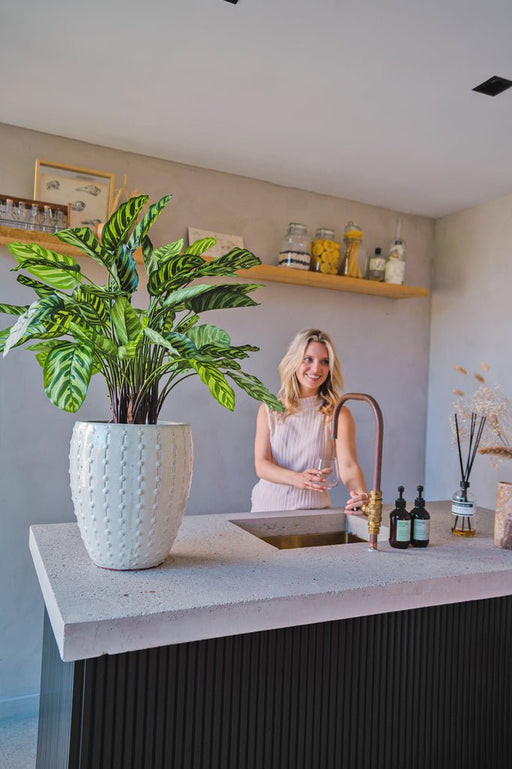 Calathea Makoyana Deluxe - Pianta Verde Artificiale