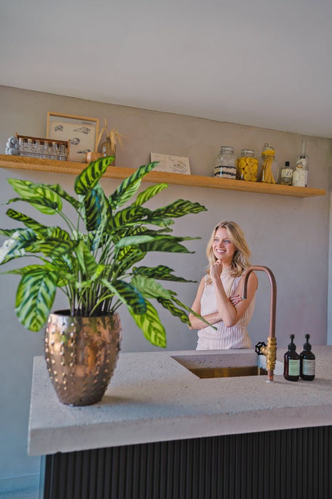 Calathea Makoyana Deluxe - Pianta Verde Artificiale