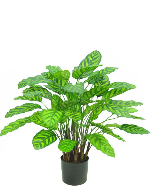 Calathea Makoyana Deluxe - Pianta Verde Artificiale
