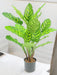 Calathea Makoyana - Pianta Verde Artificiale