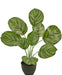 Calathea - Pianta Verde Artificiale