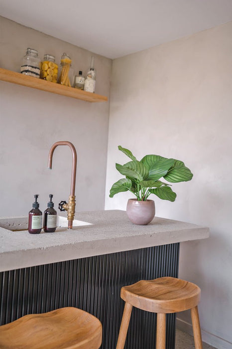 Calathea Orbifolia - Pianta Verde Artificiale