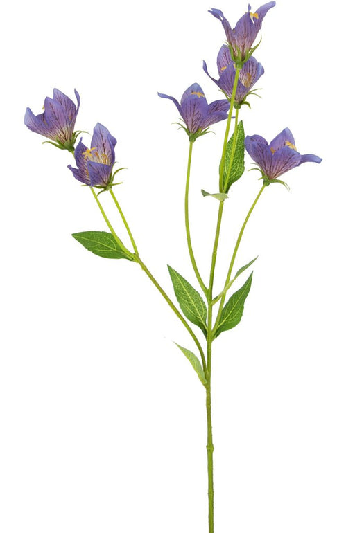 Campanula Di Seta Viola