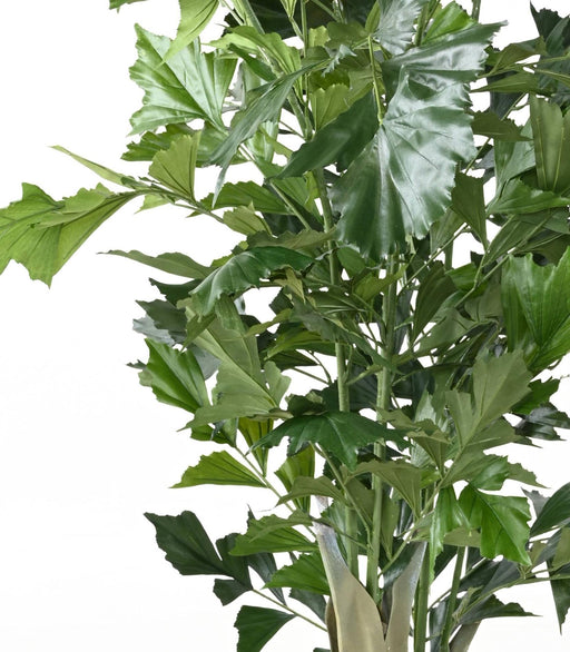 Caryota Artificiale H.190 Cm Per Decorazione Interni