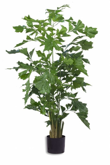 Caryota Mitis - Grande Pianta Artificiale