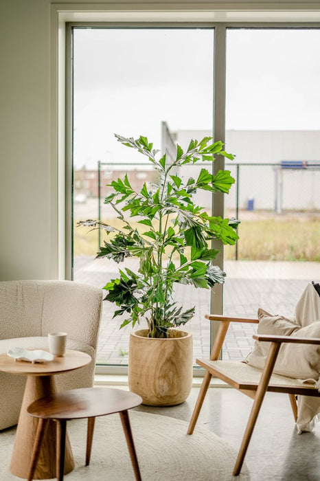 Caryota Mitis - Grande Pianta Artificiale