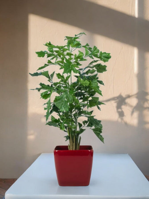 Caryota Mitis - Grande Pianta Artificiale