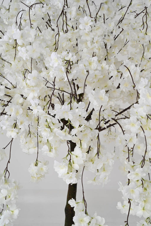 Pianta Sintetica Di Fiori Di Ciliegio Artificiali Da 200 Cm