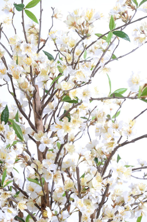 Pianta Decorativa Di Ciliegio Artificiale Con Fiori Bianchi Da 150 Cm
