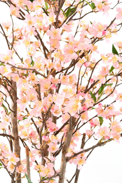 Ciliegio Artificiale Fiori Rosa Pianta Decorativa 150 Cm