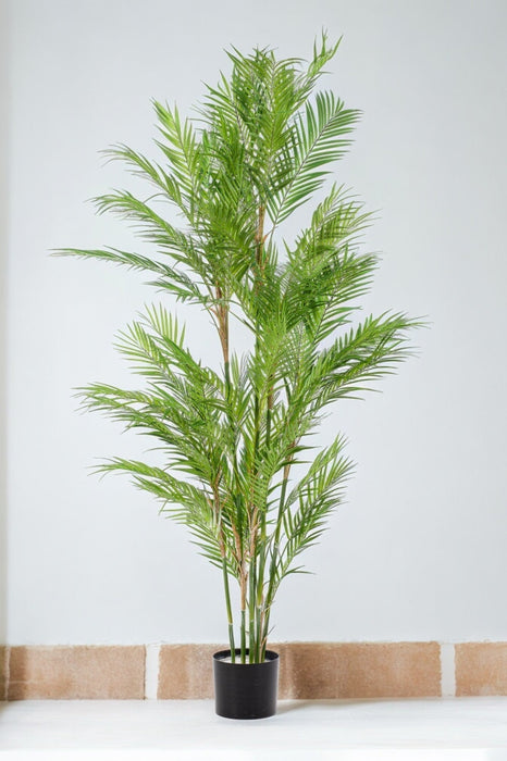 Pianta Artificiale Di Chamaedorea Elegans