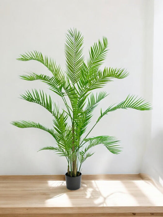 Chamaedorea - Palma Artificiale