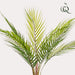 Chamaedorea Artificiale - H50Cm, Ø15Cm