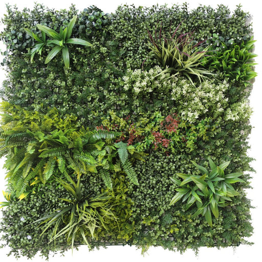 Campagna - Muro Verde Artificiale