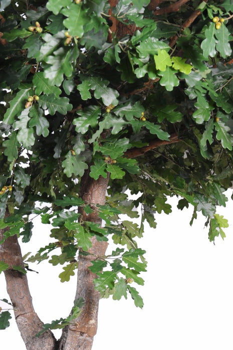 Quercia Artificiale Per Interni 620 Cm Fogliame Verde