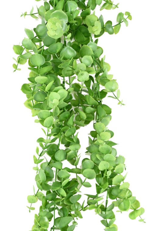 Eucalipto Artificiale Caduta H.81Cm Per Interni