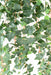 Edera Artificiale Caduta 200 Cm 1039 Foglie