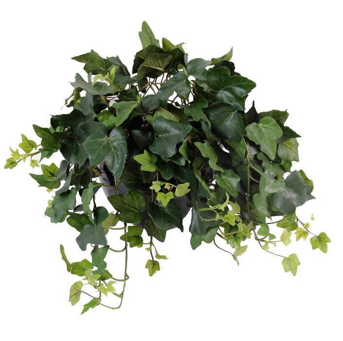 Edera Artificiale Caduta Su Palo 50 Cm Verde